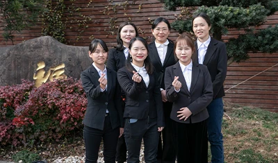 Sales Team